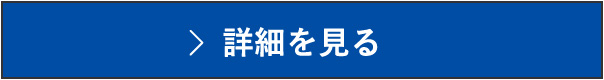 詳細を見る
